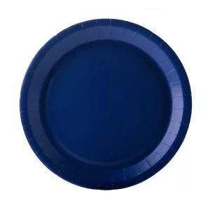 assiette carton bleu marine