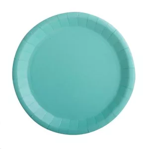 Assiette carton vert d'eau