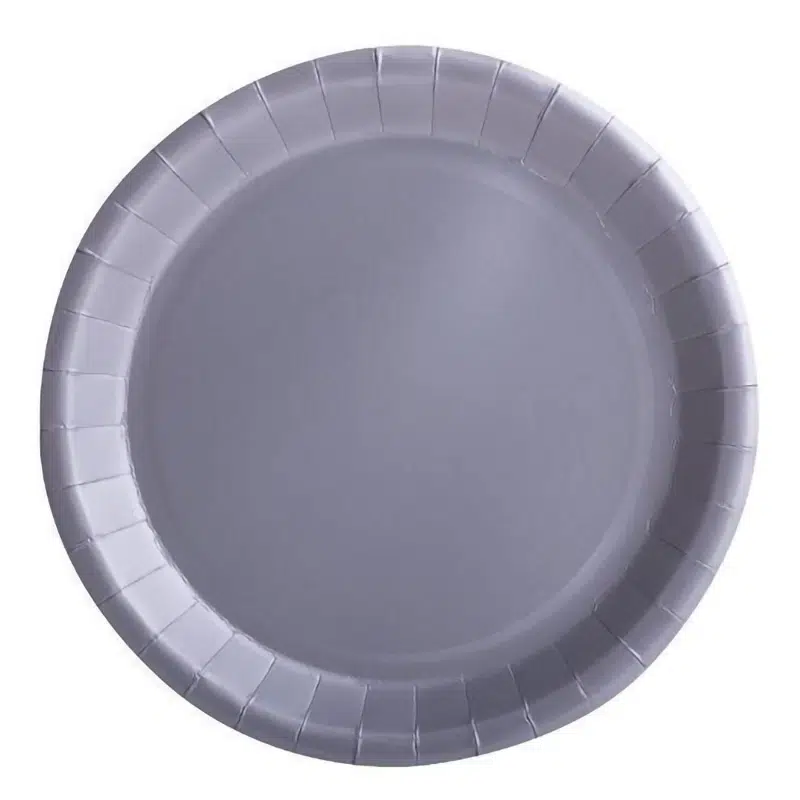 Assiette carton argent 22 cm par 10