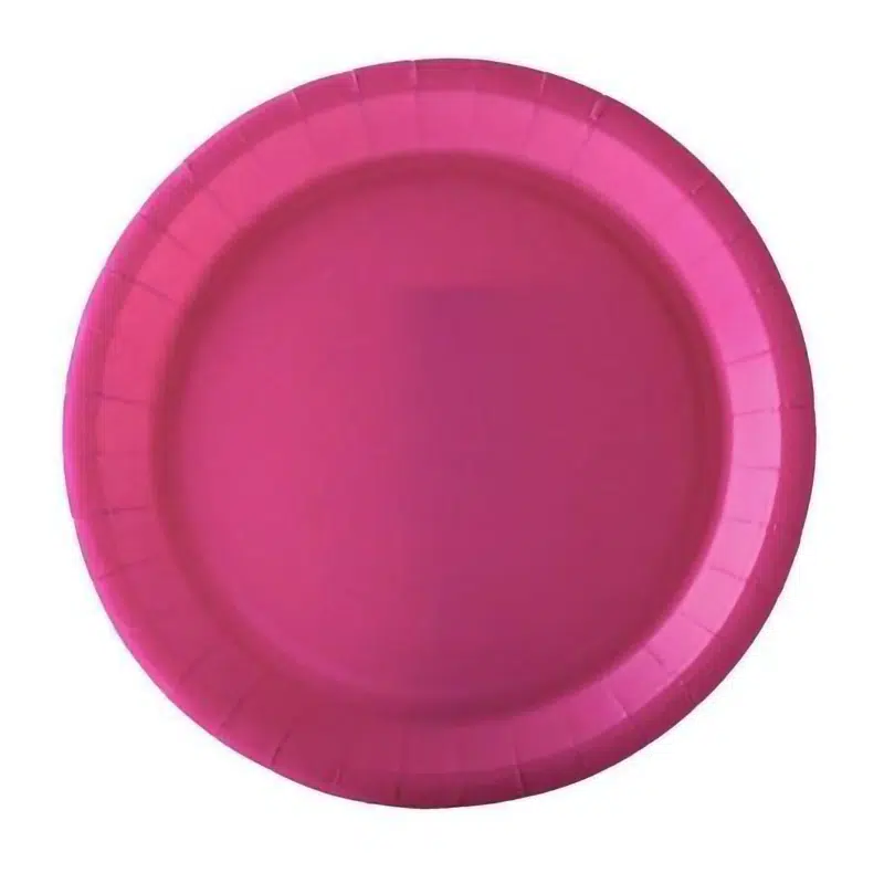 Assiette carton rose fuchsia 22 cm par 10