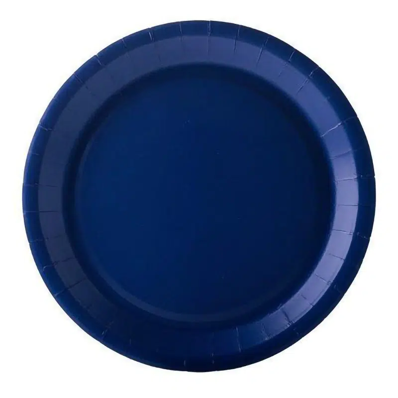Assiette carton bleu marine 22 cm par 10