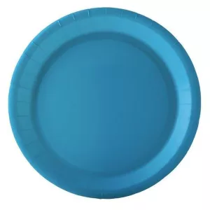 Assiette carton turquoise