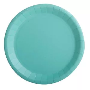Assiette carton vert d'eau