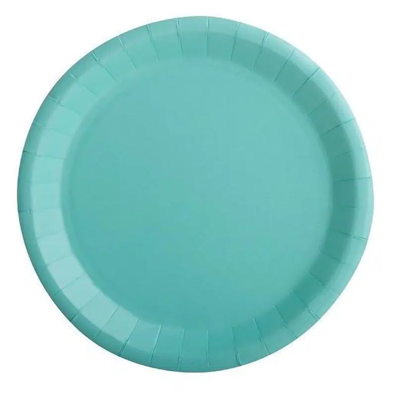 Assiette carton vert d’eau 22 cm par 10