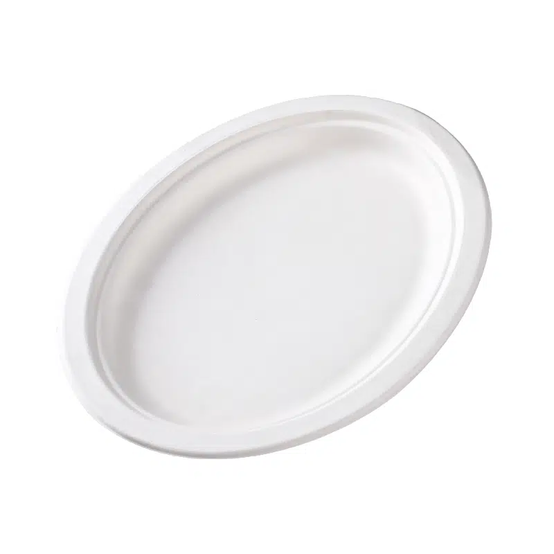 Assiette ovale biodégradable 26 cm par 50