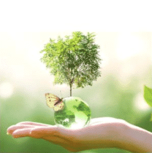 Gamme écologique