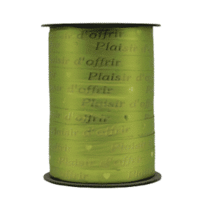 Bobine bolduc anis « plaisir d’offrir » 225m x 10mm