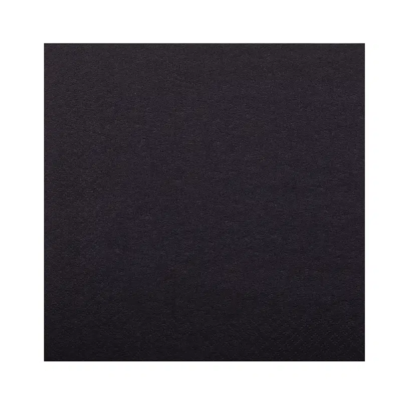Serviette noire 2 plis 38 x 38 cm par 50