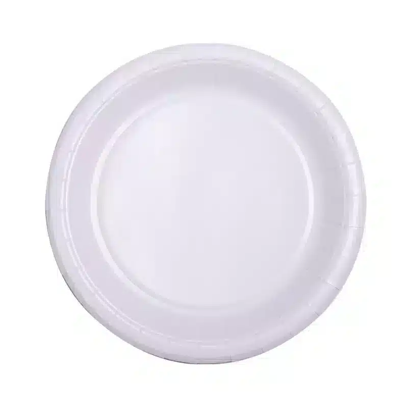 10 assiettes blanches carton 18 cm
