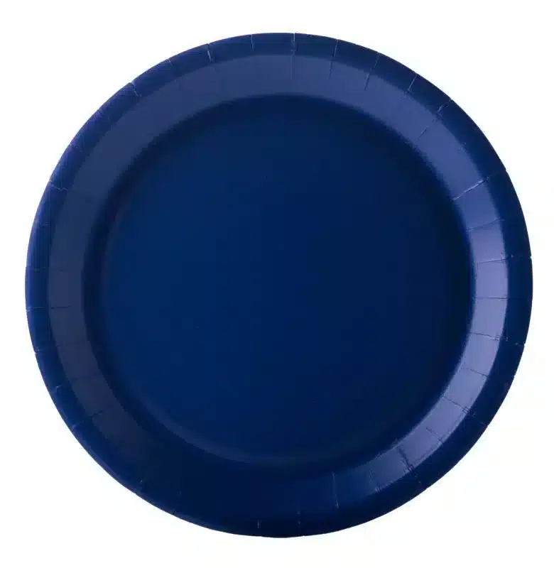 10 assiettes bleues marines carton 18 cm