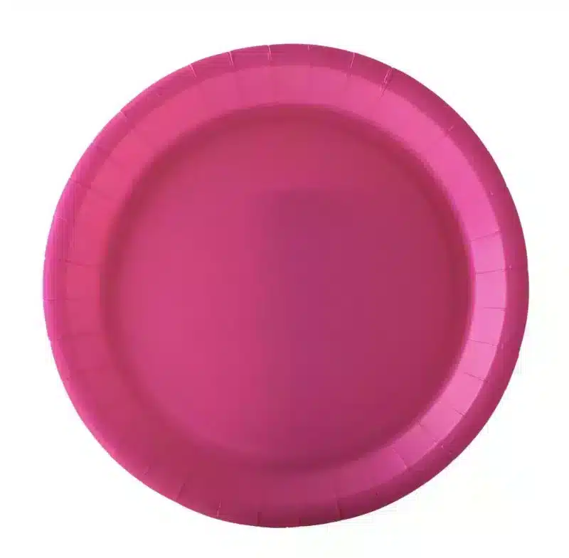 10 assiettes fuschia carton 22 cm