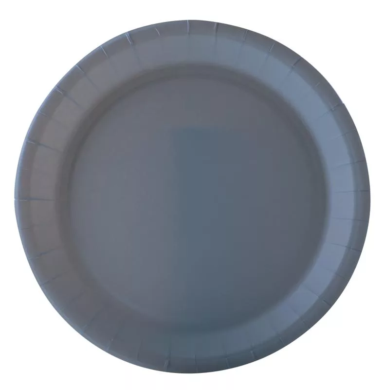 10 assiettes grises carton 18 cm