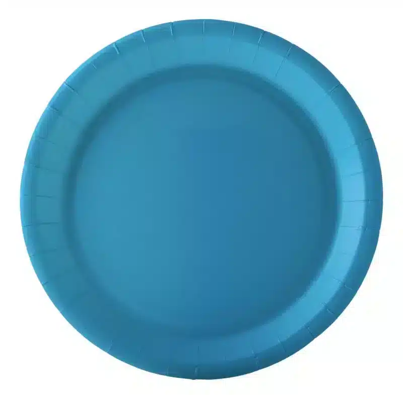 10 türkisfarbene Teller aus Karton 22 cm
