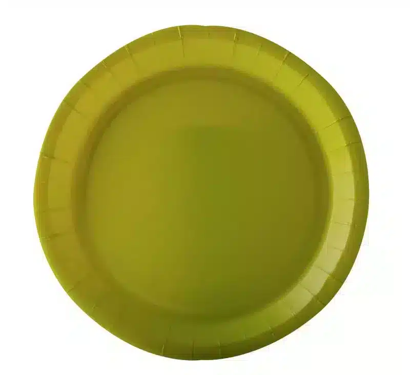 10 Teller Anisgrün Karton 22 cm