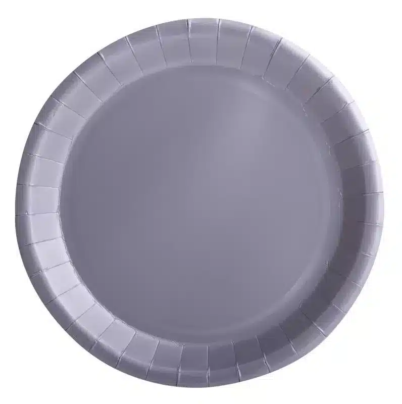 10 silberne Teller aus Karton 22 cm