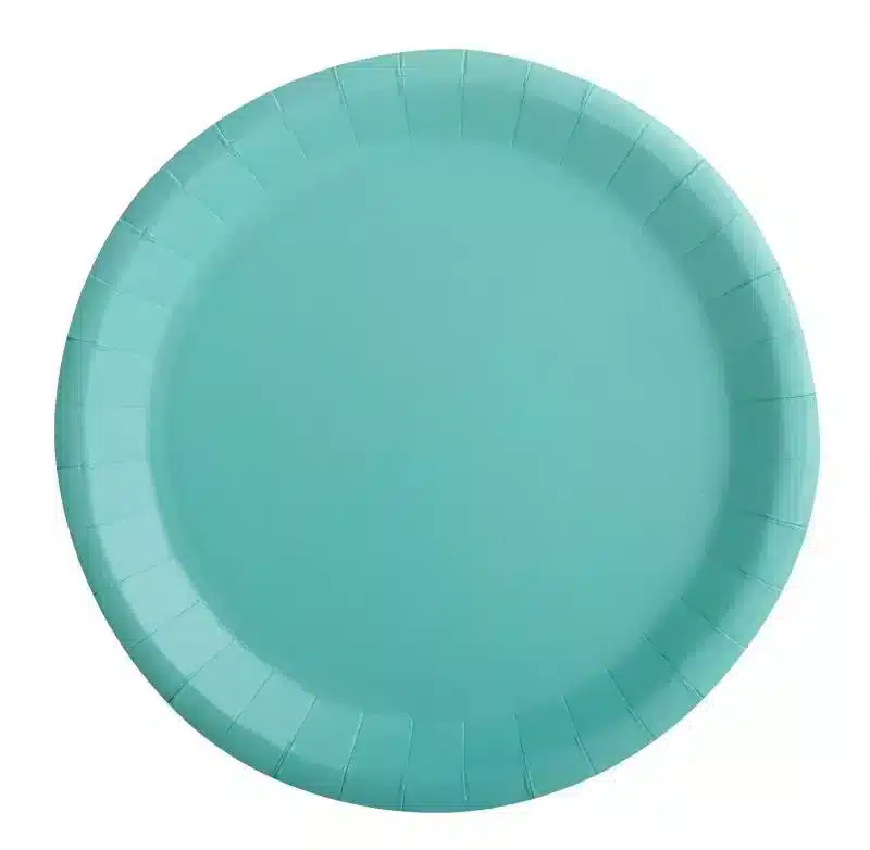 10 Teller Wassergrün Karton 22 cm