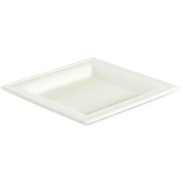 50 biodegradable square plates 26 cm