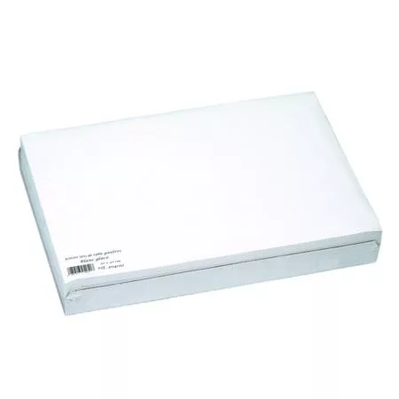 1000 manteles individuales blancos 30 x 40 cm