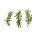 romarin-feuille-couppees-epice-pas-cher-discount-csj-emballages-zoom