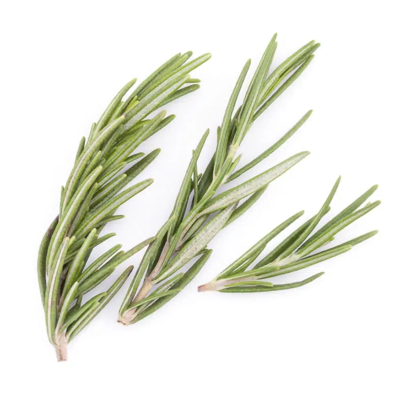 Romarin feuilles coupées 1 kg