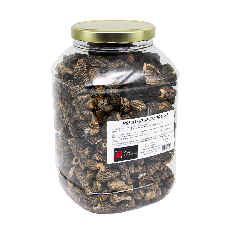 Morilles sauvages