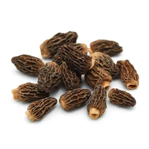 Morilles sauvages